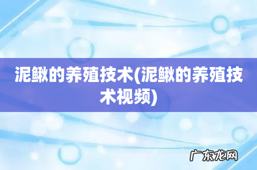 泥鳅的养殖技术视频 泥鳅的养殖技术