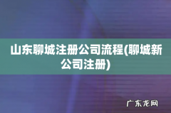 聊城新公司注册 山东聊城注册公司流程