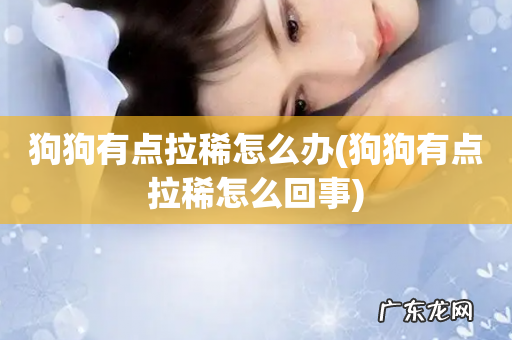 狗狗有点拉稀怎么回事 狗狗有点拉稀怎么办