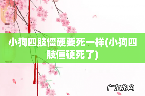 小狗四肢僵硬死了 小狗四肢僵硬要死一样