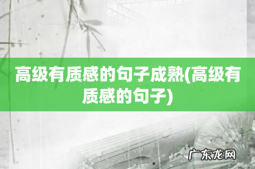 高级有质感的句子 高级有质感的句子成熟