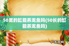 50长的缸能养龙鱼吗 50宽的缸能养龙鱼吗