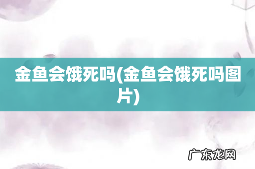 金鱼会饿死吗图片 金鱼会饿死吗