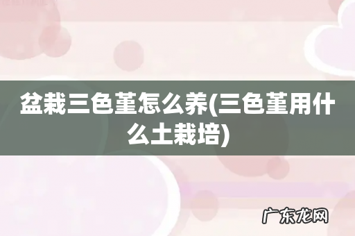 三色堇用什么土栽培 盆栽三色堇怎么养