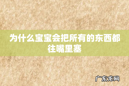 为什么宝宝会把所有的东西都往嘴里塞