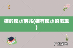 猫有腹水的表现 猫的腹水前兆