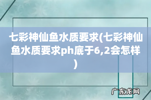 七彩神仙鱼水质要求ph底于6,2会怎样 七彩神仙鱼水质要求