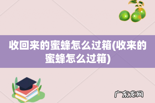 收来的蜜蜂怎么过箱 收回来的蜜蜂怎么过箱