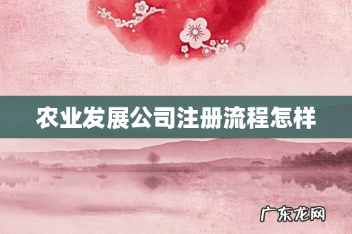 农业发展公司注册流程怎样