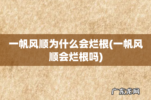 一帆风顺会烂根吗 一帆风顺为什么会烂根
