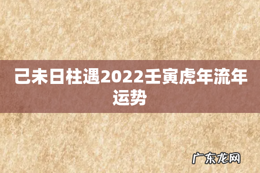 己未日柱遇2022壬寅虎年流年运势