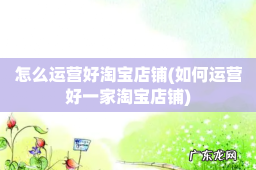 如何运营好一家淘宝店铺 怎么运营好淘宝店铺