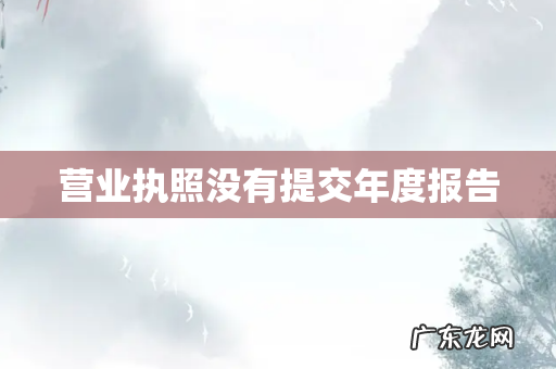 营业执照没有提交年度报告