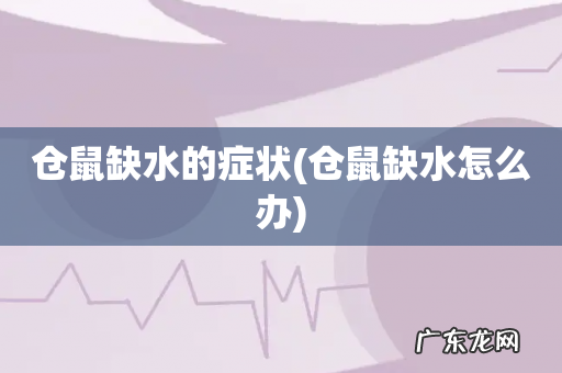 仓鼠缺水怎么办 仓鼠缺水的症状