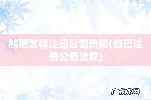 自己注册公司流程 鹤壁怎样注册公司流程