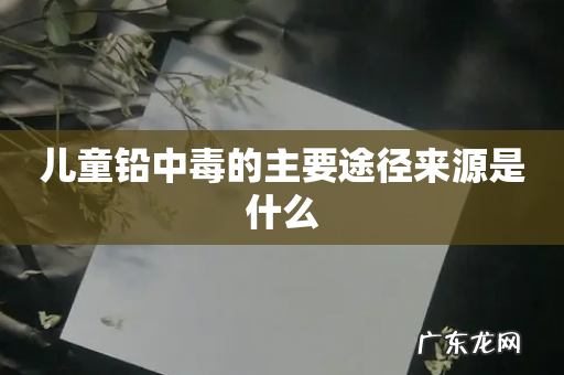 儿童铅中毒的主要途径来源是什么