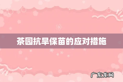 茶园抗旱保苗的应对措施