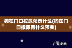 狗在门口撒尿有什么预兆 狗在门口拉尿预示什么
