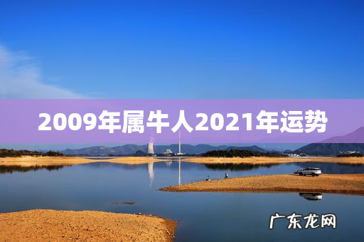 2009年属牛人2021年运势