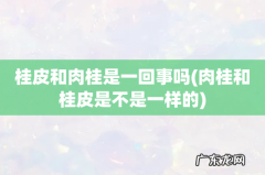 肉桂和桂皮是不是一样的 桂皮和肉桂是一回事吗