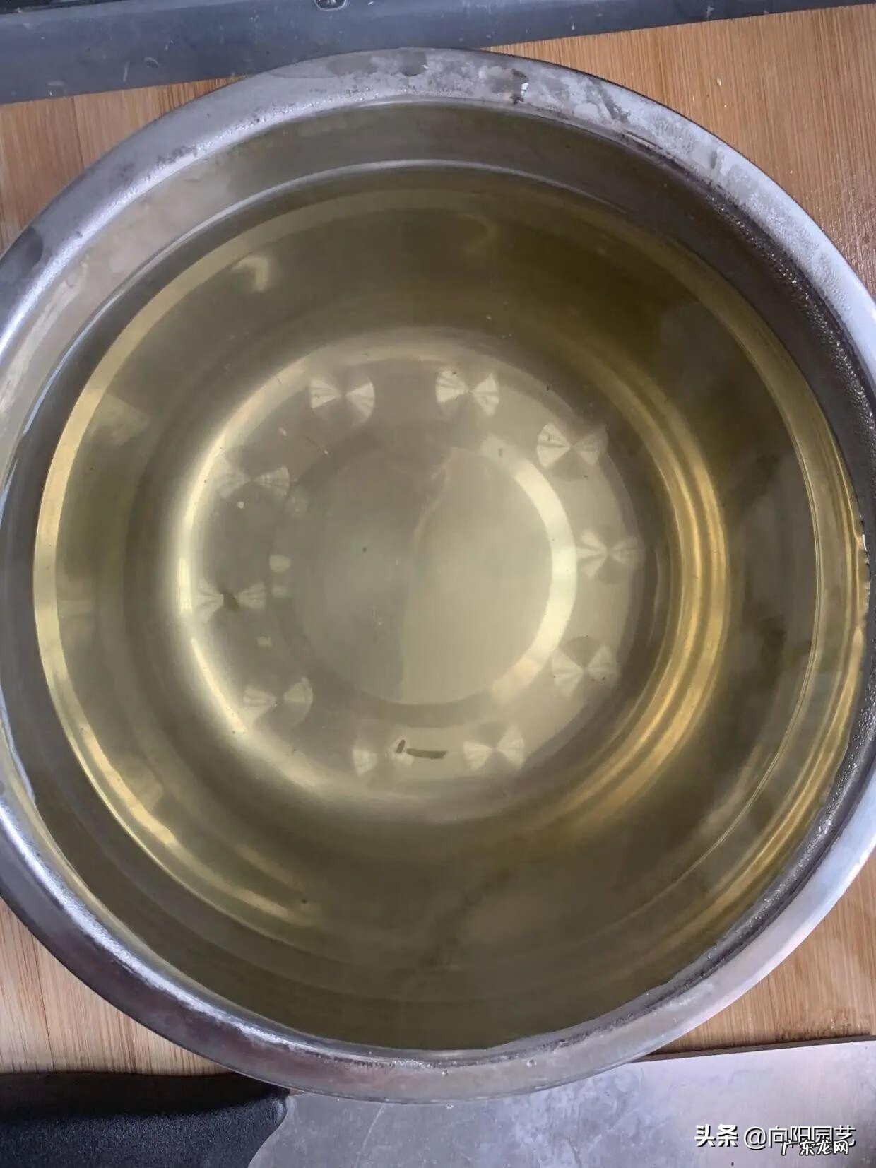 枇杷叶的功效与作用吃法