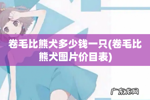 卷毛比熊犬图片价目表 卷毛比熊犬多少钱一只