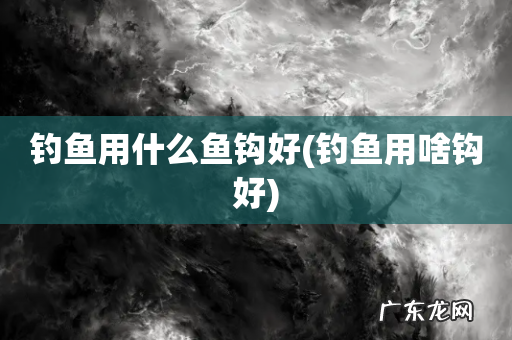 钓鱼用啥钩好 钓鱼用什么鱼钩好