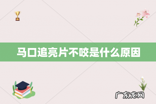 马口追亮片不咬是什么原因