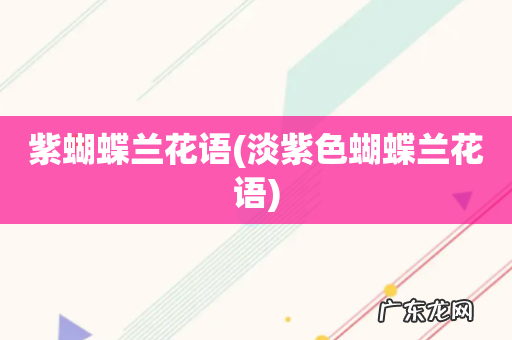 淡紫色蝴蝶兰花语 紫蝴蝶兰花语