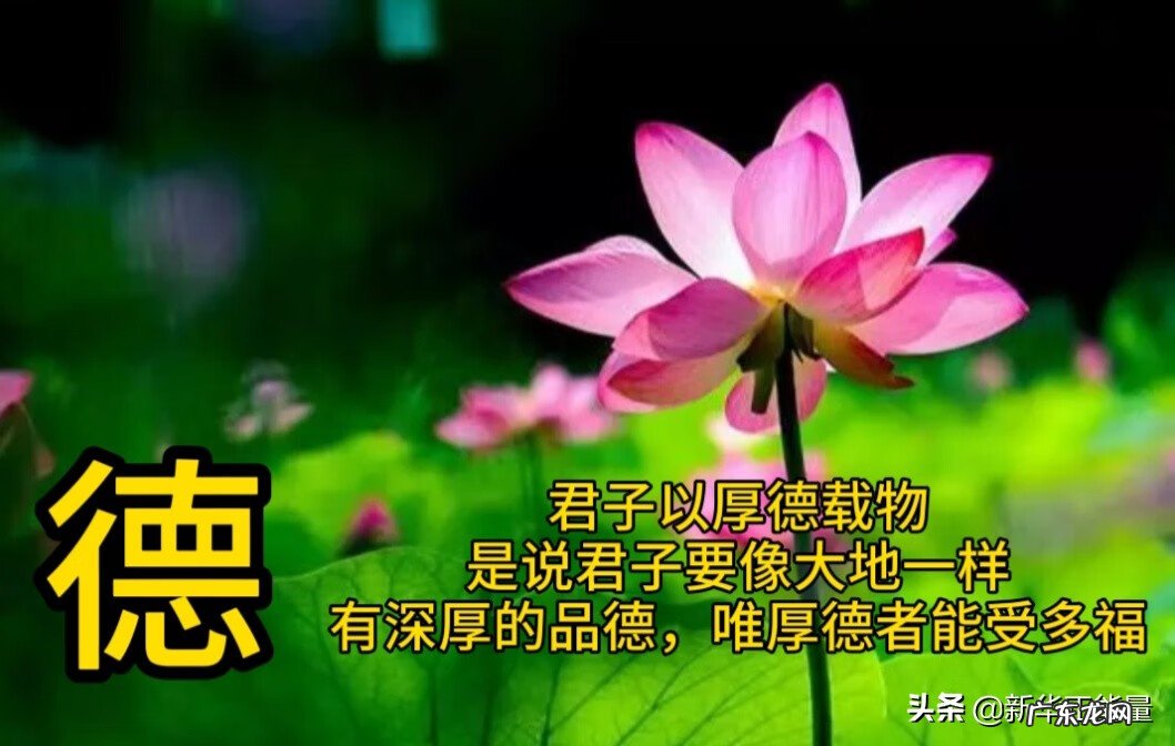 五仁什么意思 风水四孝五仁六义