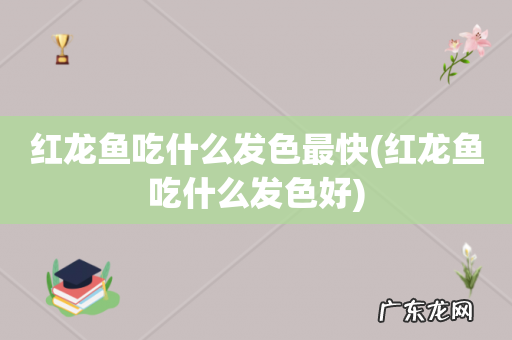 红龙鱼吃什么发色好 红龙鱼吃什么发色最快
