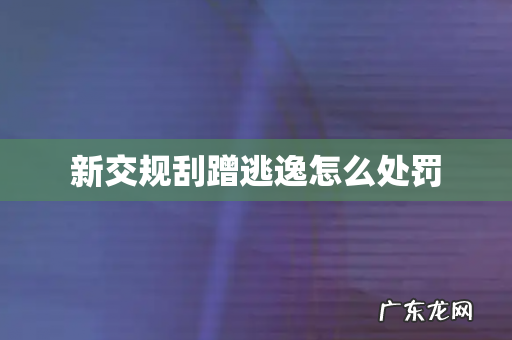 新交规刮蹭逃逸怎么处罚