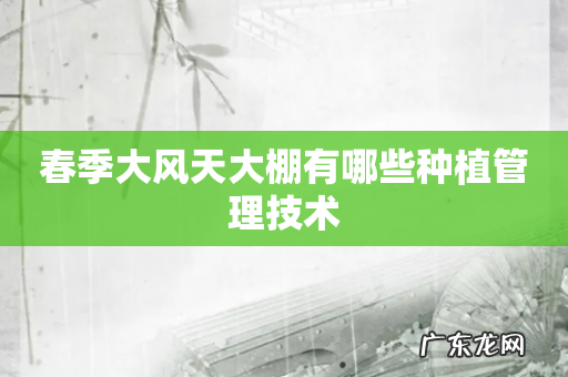 春季大风天大棚有哪些种植管理技术