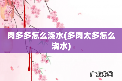 多肉太多怎么浇水 肉多多怎么浇水