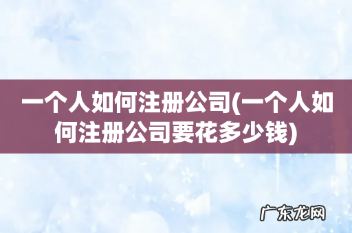 一个人如何注册公司要花多少钱 一个人如何注册公司
