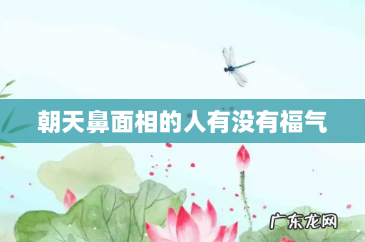 朝天鼻面相的人有没有福气