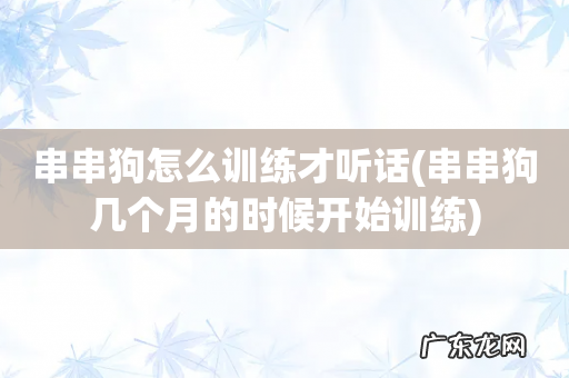 串串狗几个月的时候开始训练 串串狗怎么训练才听话
