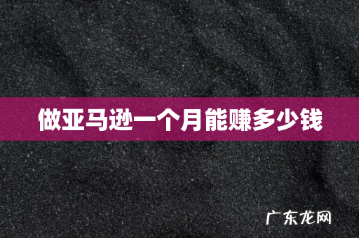 做亚马逊一个月能赚多少钱