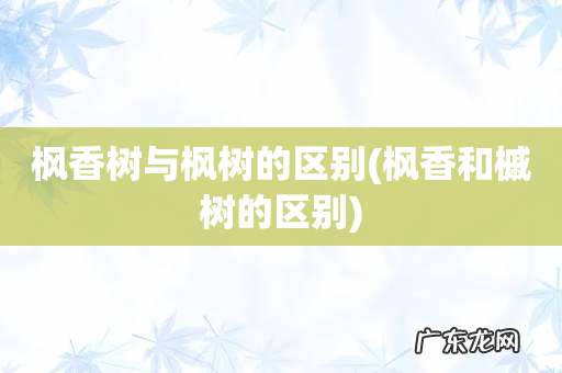 枫香和槭树的区别 枫香树与枫树的区别