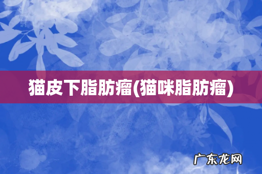 猫咪脂肪瘤 猫皮下脂肪瘤