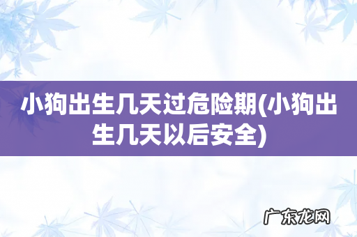 小狗出生几天以后安全 小狗出生几天过危险期
