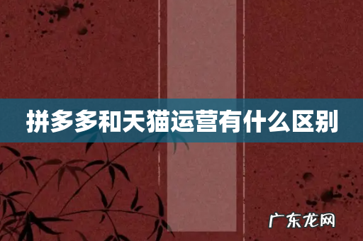 拼多多和天猫运营有什么区别