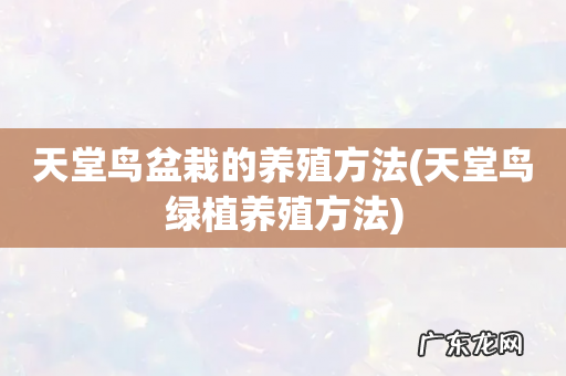 天堂鸟绿植养殖方法 天堂鸟盆栽的养殖方法