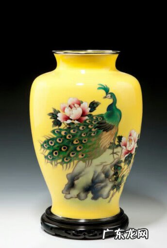 风水鱼不小心送人了怎么化解 给别人买风水鱼好吗