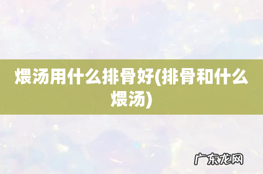 排骨和什么煨汤 煨汤用什么排骨好