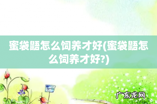 蜜袋鼯怎么饲养才好? 蜜袋鼯怎么饲养才好