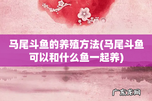 马尾斗鱼可以和什么鱼一起养 马尾斗鱼的养殖方法