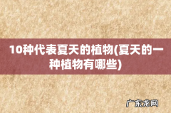 夏天的一种植物有哪些 10种代表夏天的植物