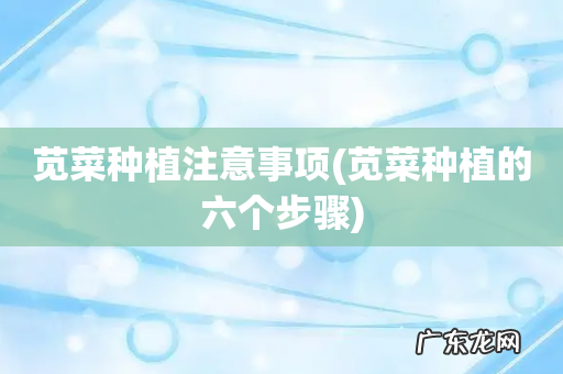 苋菜种植的六个步骤 苋菜种植注意事项