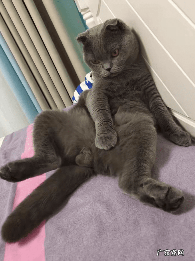 麻辣江湖怎样做 麻辣江湖什么职业好玩